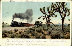 The California Limited On The Desert Postcard