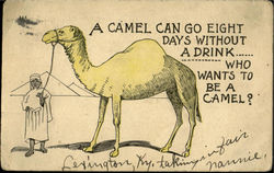 Who wants to be a camel? Drinking Postcard Postcard