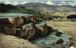 Minerva Terrace, Mammoth Hot Springs Postcard