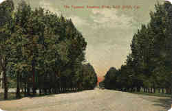 The Famous Alameda Blvd Postcard