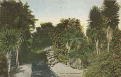 An Irrigation Canal in California Postcard