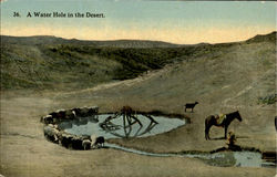 A Water Hole In The Desert Cowboy Western Postcard Postcard