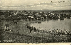 The Round Up Postcard