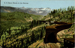 S. P. Snow Sheds In The Sierras Postcard