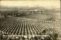 Vista Of Orange Grove Rubidoux, CA Postcard Postcard