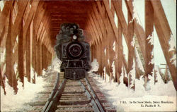 In The Snow Sheds Postcard