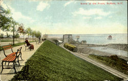 Scene At The Front Buffalo, NY Postcard Postcard