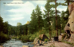 Auto Road, Estes Park Postcard