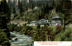 Shasta Springs On The S. P. R. R., California - Oregon Route Postcard