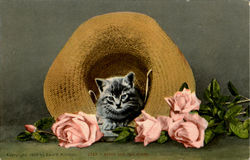 Kitty And The Roses Flowers Postcard Postcard