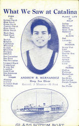 Andrew R. Hernandez Deap Sea Diver Postcard