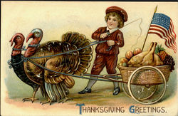 Thanksgiving Greetings Postcard