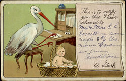 Stork Postcard