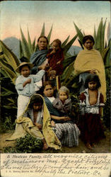 A Mexican Family Postcard