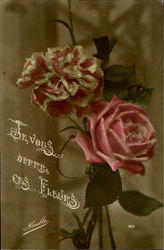 French Roses Postcard