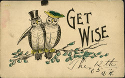 Get Wise - Owls Postcard