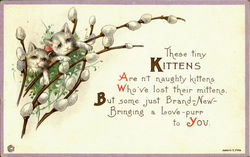 Kittens Postcard