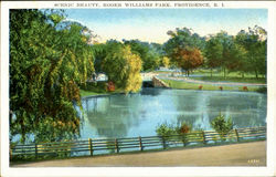 Scenic Beauty, Roger Williams Park Providence, RI Postcard Postcard