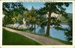 A Shady Walk, Roger Williams Park Postcard