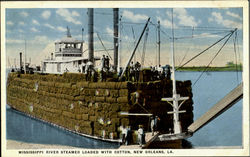 Mississippi River Steamer Loaded With Cotton Postcard