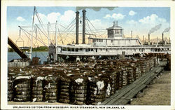 Unloading Cotton From Mississippi River Steamboats New Orleans, LA Postcard Postcard