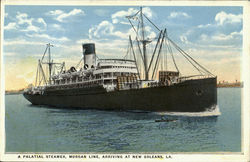 A Palatial Steamer Morgan Line Postcard