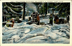 Mid Winter Picnicers Big Pines Postcard