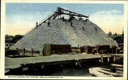 200,000 Bushels Of Oyster Shells Postcard