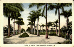 Vista Of Royal Palm Grounds Miami, FL Postcard Postcard