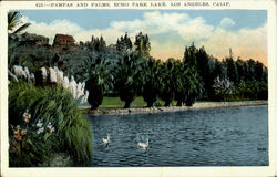 Pampas And Palms, Echo Park Lake Los Angeles, CA Postcard Postcard