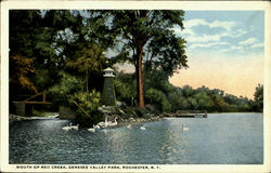 Mouth Of Red Creek, Genesee Valley Park Rochester, NY Postcard Postcard