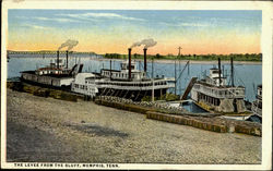 The Levee From The Bluff Postcard