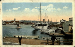 Penobscot River From Brewer Ferry Slip Postcard