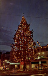 Champion Christmas Tree Tacoma, WA Postcard Postcard