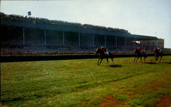 Belmont Park Postcard