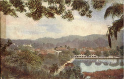 The Lake Kandy Sri Lanka Southeast Asia Postcard Postcard