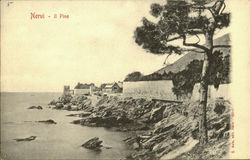 Nervi - Jl Pino Italy Postcard Postcard