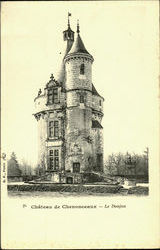 Chateau De Chenonceaux Le Donjon Postcard