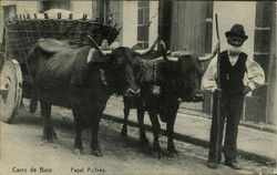 Carro De Bois Fayal Acores Postcard