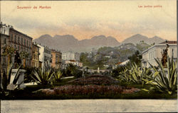 Souvenir De Menton Les Jardins Publics Postcard