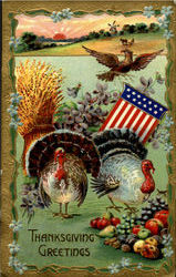 Thanksgiving Greetings Postcard