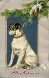 A Merry Christmas To You Dog Postcard