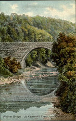 Webber Bridge Catskill, NY Postcard Postcard