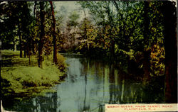 Brook Scene From Terril Road Plainfield, NJ Postcard Postcard