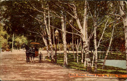 Birch Drive, Forest Park St. Louis, MO Postcard Postcard