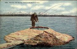 Fish Pot, Yellowstone National Park Postcard Postcard