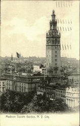 Madison Square Garden Postcard