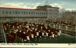 Cattle Pens, Stock Yards Kansas City, MO Postcard Postcard