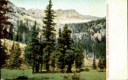 Sierra Blanca Postcard