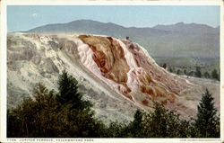 Jupiter Terrace, Yellowstone Park Postcard